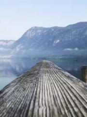 Lin Feng Lin Yun Yao