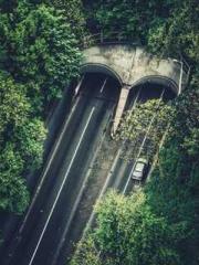 The Realm of the Dao