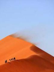 lt;lt;The Trash Husb