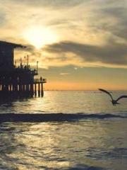 The Ugly Womanapos;s