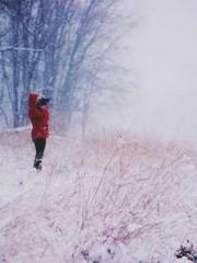 lt;Mr. Bao, Mrs. Bao