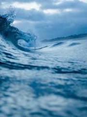 One Pregnancy, Two B