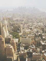 My pets are all amaz