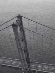 Transmigrated to the