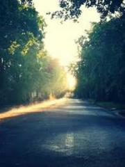 The Generalapos;s Hu