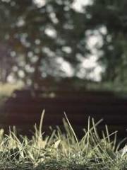 lt;Mr. Bao, Mrs. Bao