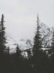 lt;gt;The son of a w