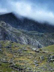 Mr. Shen, overdue an