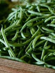 Rong Zhao Nanning Yu