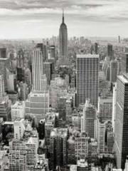 Fu Zi Mo Qin Luo Yan