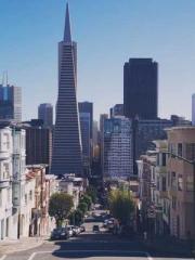 The Realm of the Dao