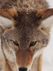 On our wedding night