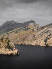 Rebirth of the Urban