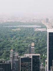 Jiang Mingzhu Zhou L